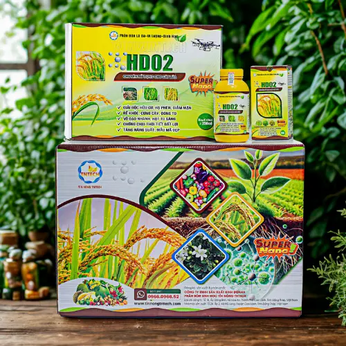 Truy xuất nguồn gốc sản phẩm HD02-Lúa