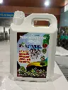 gốc-hsr.webp