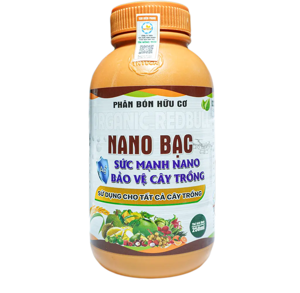 1nanobac.png