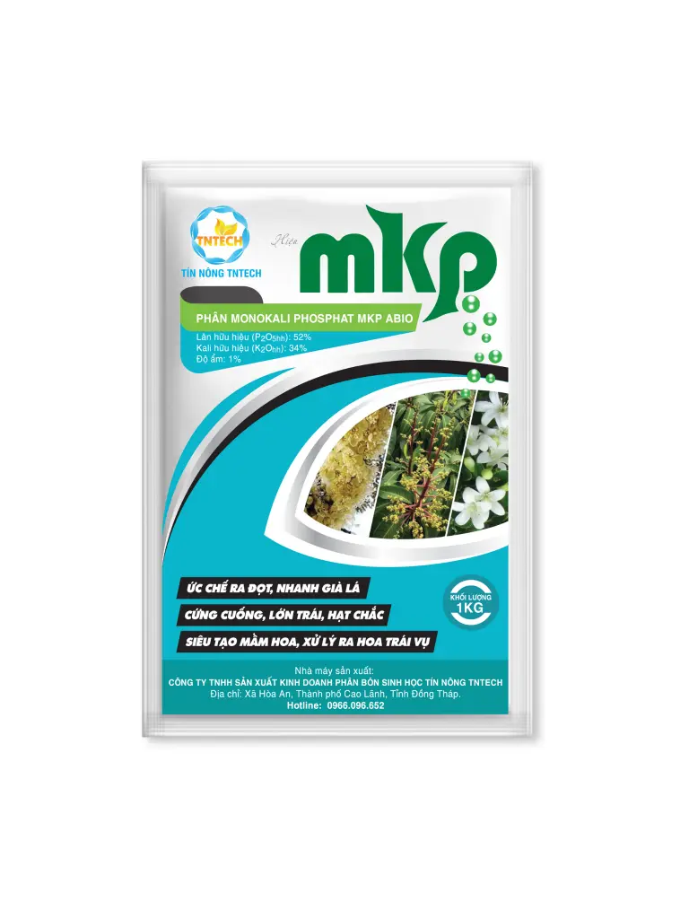 42.webp